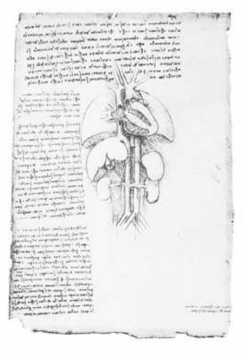 Picture of Leonardo'S Anatomical Drawings