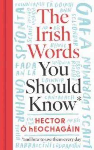 Picture of The Irish Words You Should Know: and how to start using them again