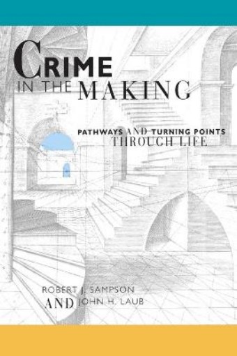 Picture of Crime in the Making