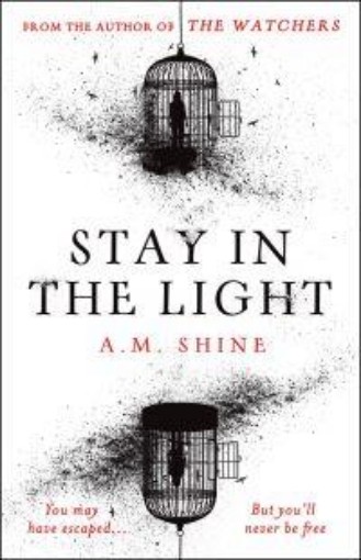 Picture of Stay in the Light: the chilling sequel to THE WATCHERS, now adapted into a major motion picture