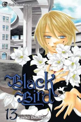 Picture of Black Bird, Vol. 13