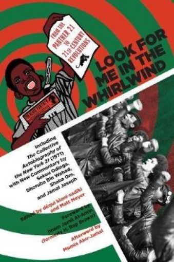 Picture of Look for Me in the Whirlwind