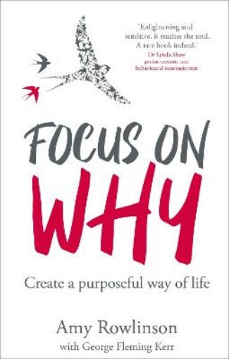 Picture of Focus on Why