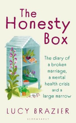 Picture of Honesty Box