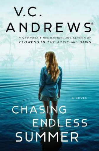 Picture of Chasing Endless Summer