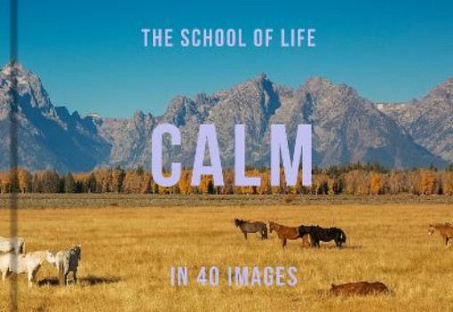 Picture of Calm in 40 Images