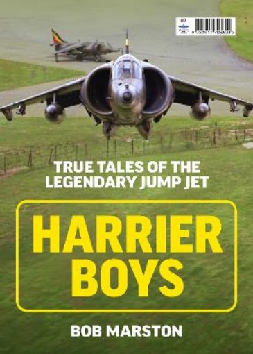 Picture of Harrier Boys