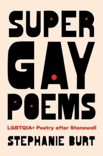 Picture of Super Gay Poems