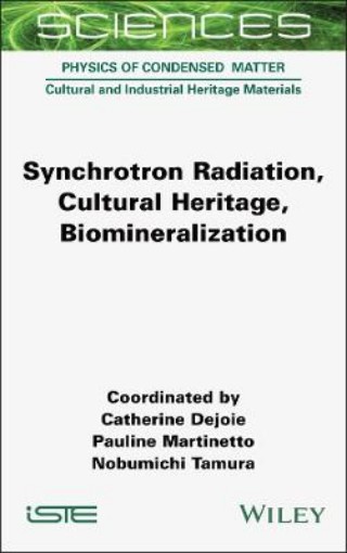 Picture of Synchrotron Radiation, Cultural Heritage, Biomineralization