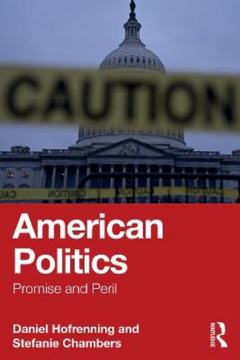 Picture of American Politics