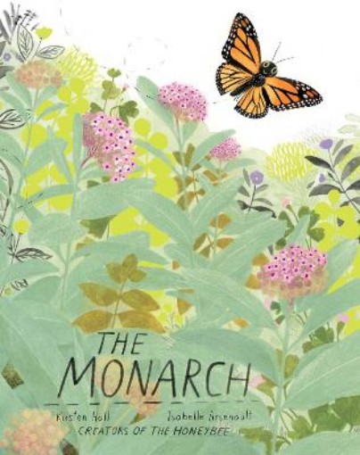 Picture of Monarch