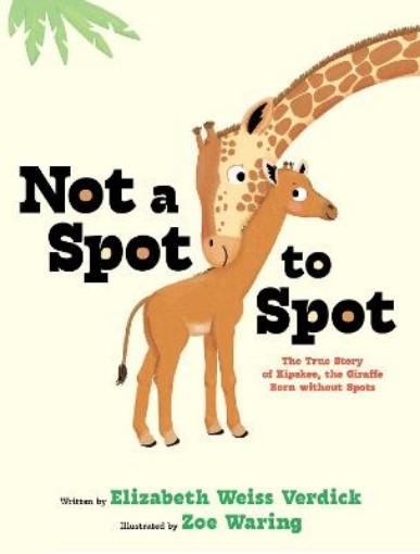 Picture of Not a Spot to Spot