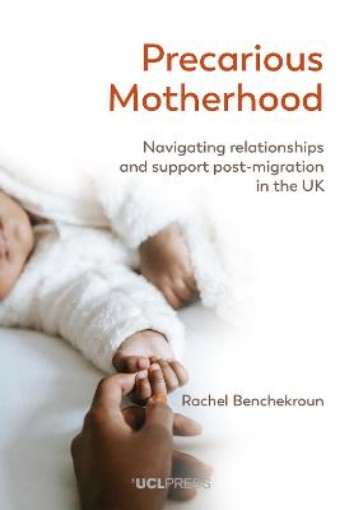 Picture of Precarious Motherhood