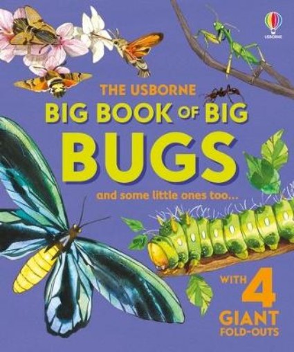 Picture of Big Book of Big Bugs