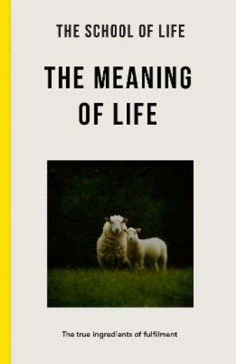 Picture of Meaning of Life