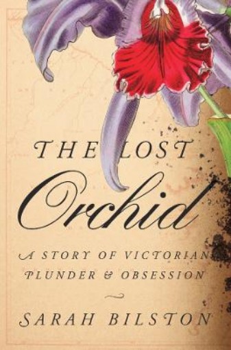 Picture of Lost Orchid