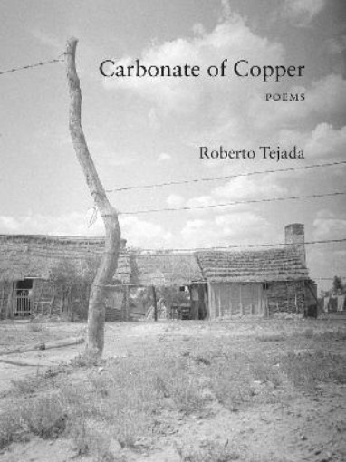 Picture of Carbonate of Copper