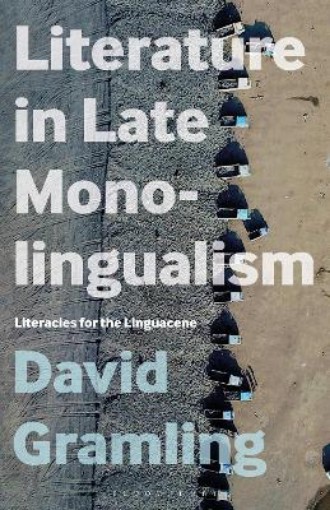Picture of Literature in Late Monolingualism