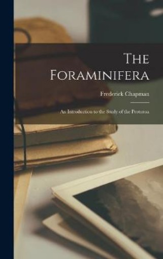 Picture of Foraminifera
