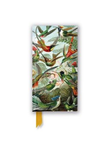 Picture of Ernst Haeckel: Hummingbirds (Foiled Slimline Journal)