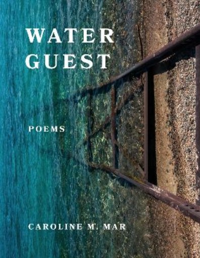 Picture of Water Guest