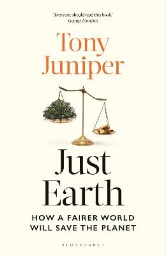 Picture of Just Earth