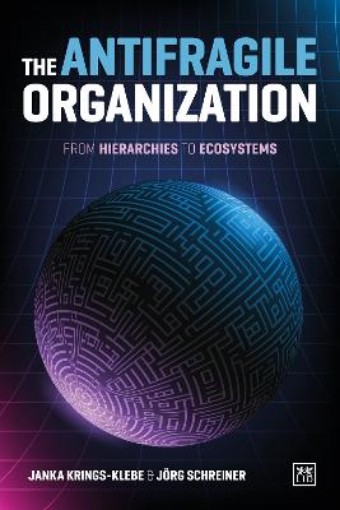 Picture of Antifragile Organization