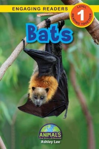 Picture of Bats