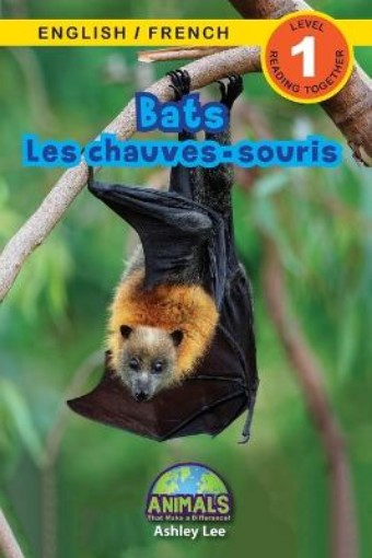 Picture of Bats / Les chauves-souris