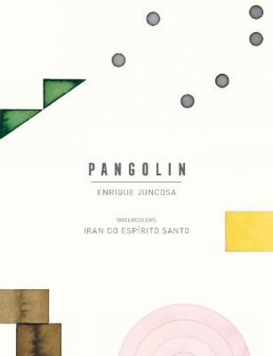 Picture of Pangolin