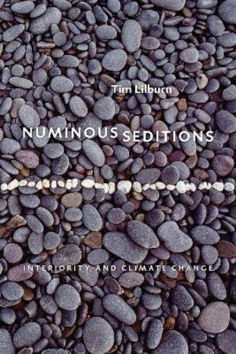 Picture of Numinous Seditions