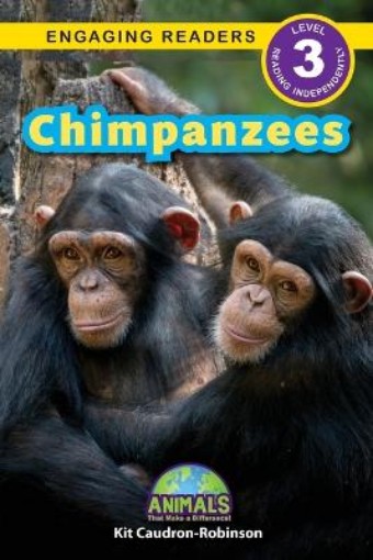 Picture of Chimpanzees
