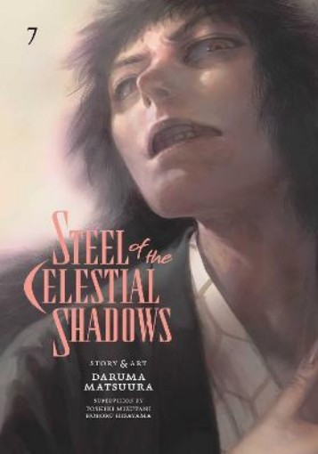 Picture of Steel of the Celestial Shadows, Vol. 7