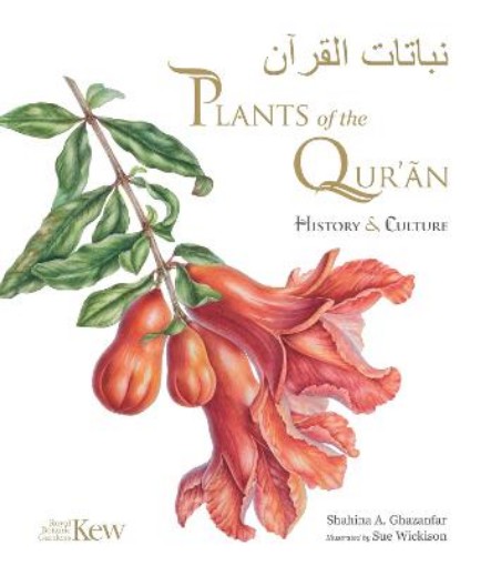 Picture of Plants of the Quran