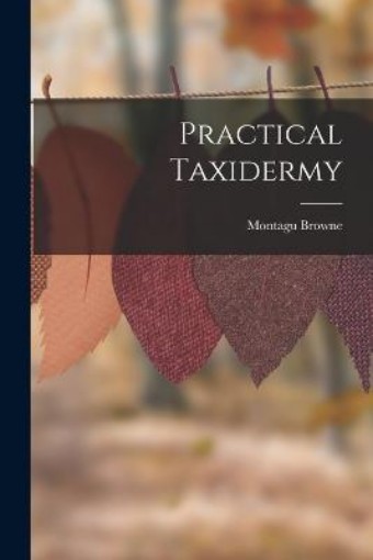 Picture of Practical Taxidermy