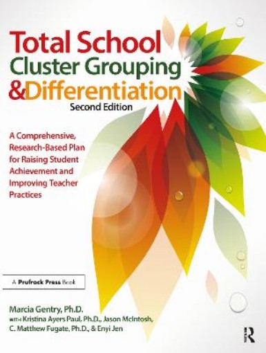 Picture of Total School Cluster Grouping and Differentiation