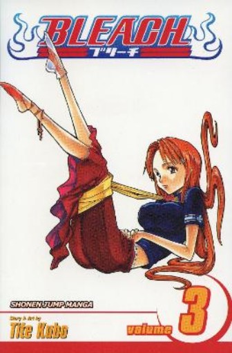 Picture of Bleach, Vol. 3
