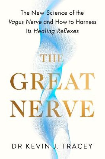 Picture of Great Nerve