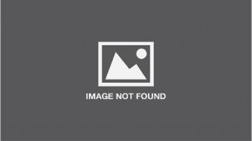 Picture of Arguing for Independence