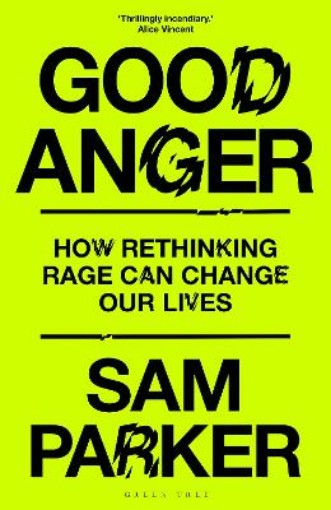Picture of Good Anger