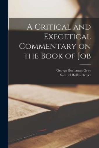 Picture of Critical and Exegetical Commentary on the Book of Job