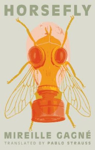 Picture of Horsefly