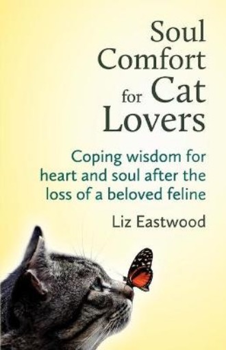 Picture of Soul Comfort for Cat Lovers