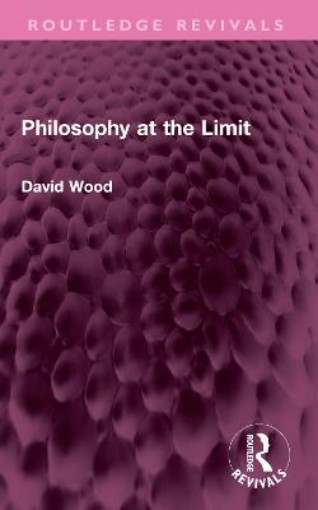 Picture of Philosophy at the Limit