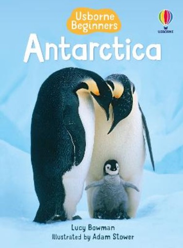 Picture of Antarctica