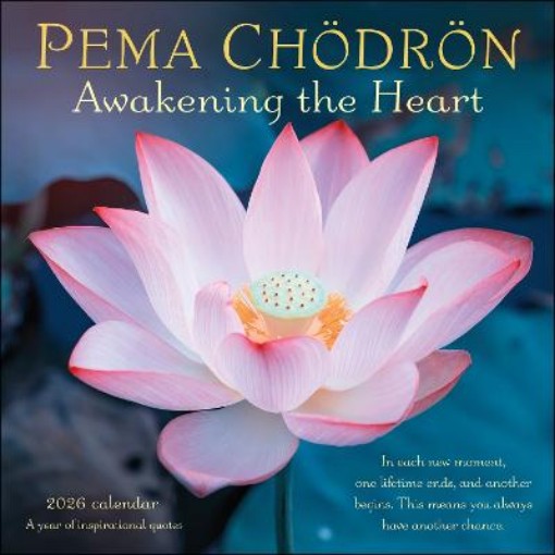 Picture of Pema Chodron 2026 Wall Calendar