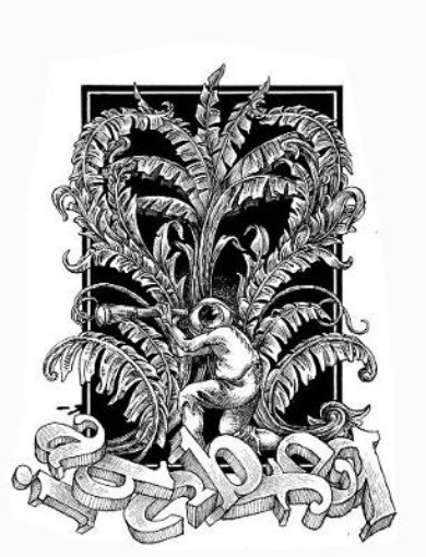 Picture of Robinson Crusoe