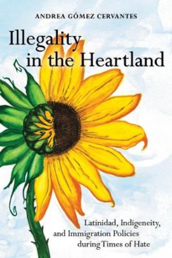 Picture of Illegality in the Heartland