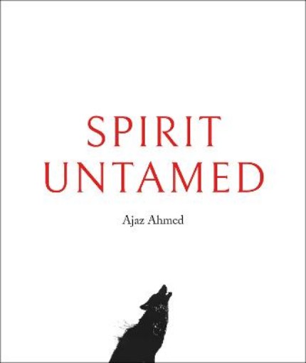 Picture of Spirit Untamed