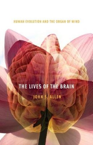 Picture of Lives of the Brain